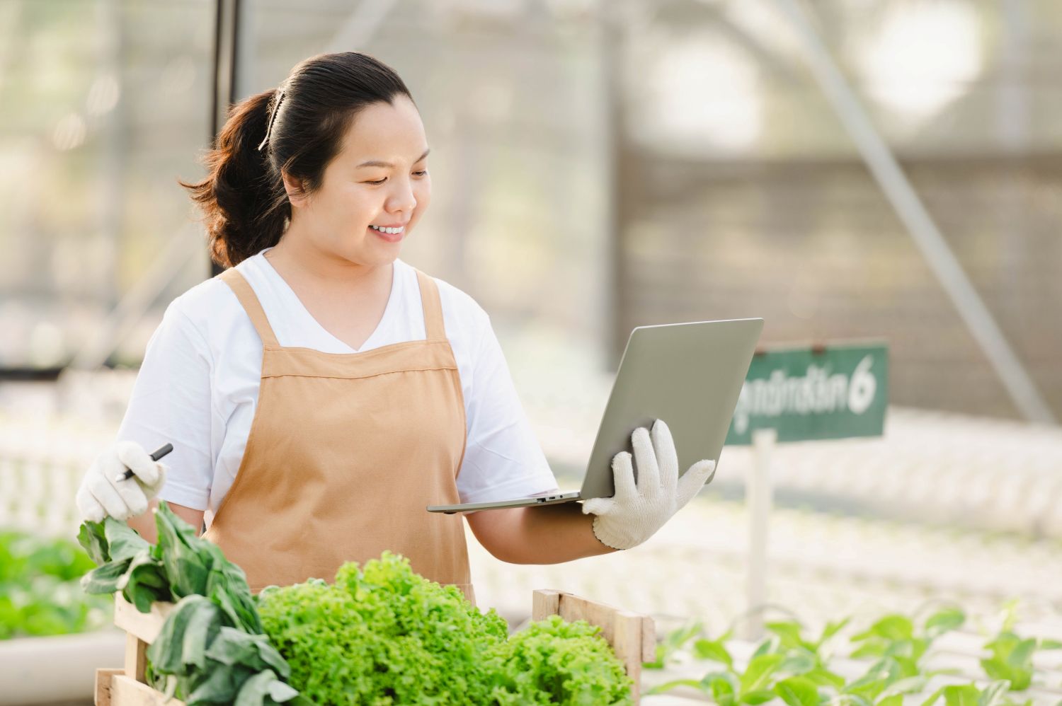 Green workers try to fill skill gap to meet the rise of green recruitment