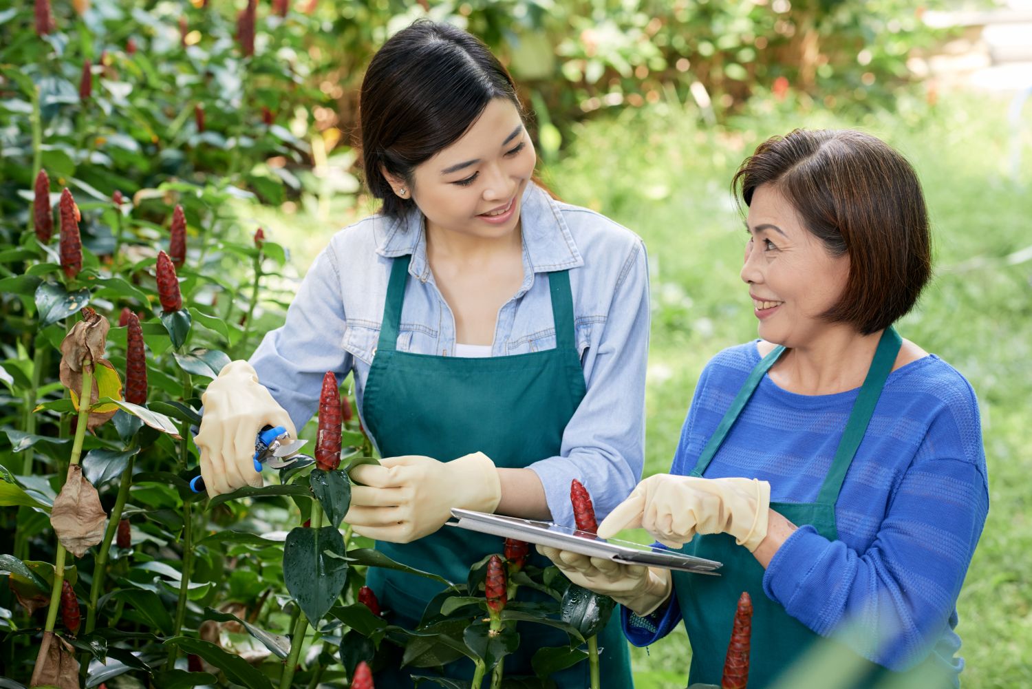 hai nhân viên đang bàn về phát triển bền vững