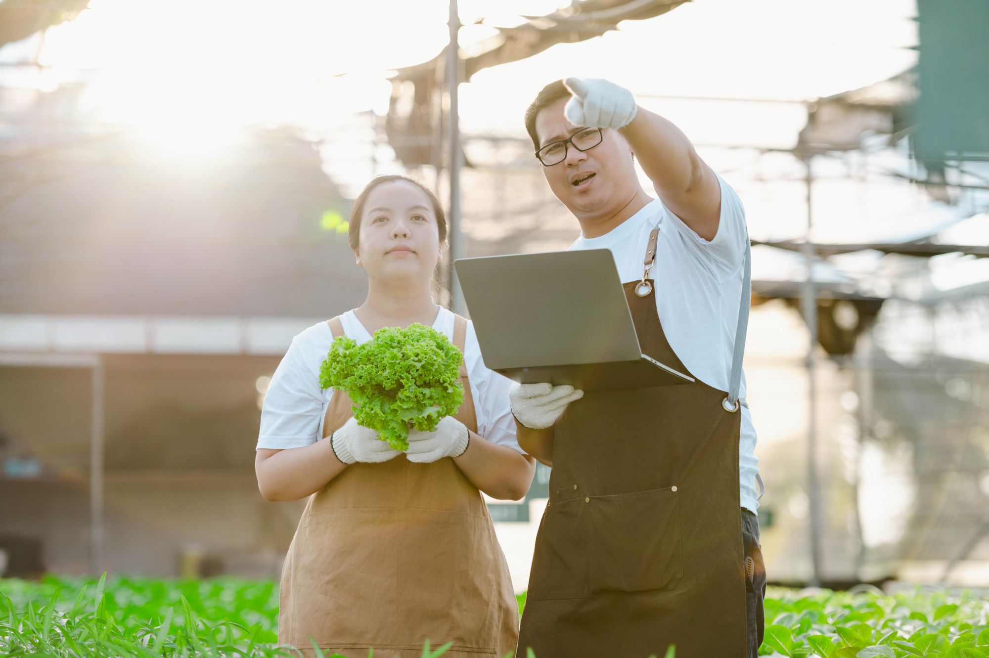 Vietnam workers strengthen its role in the global supply chains, companies must meet international standards for ethics, environmental impact, and sustainability certifications.