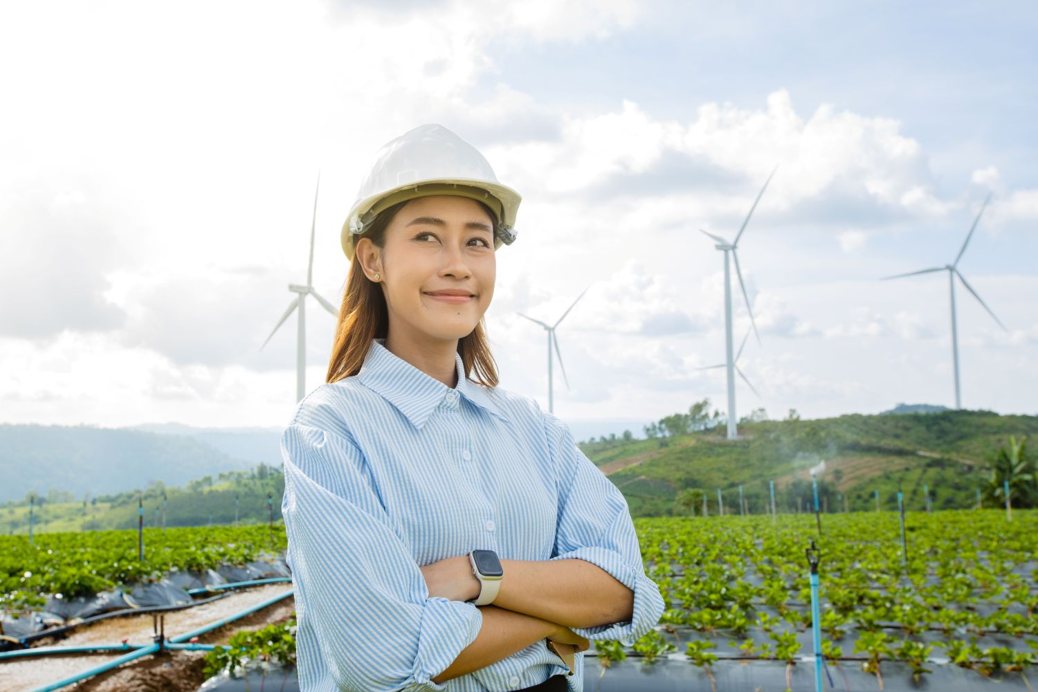 Green workers interestes in sustainable development jobs.